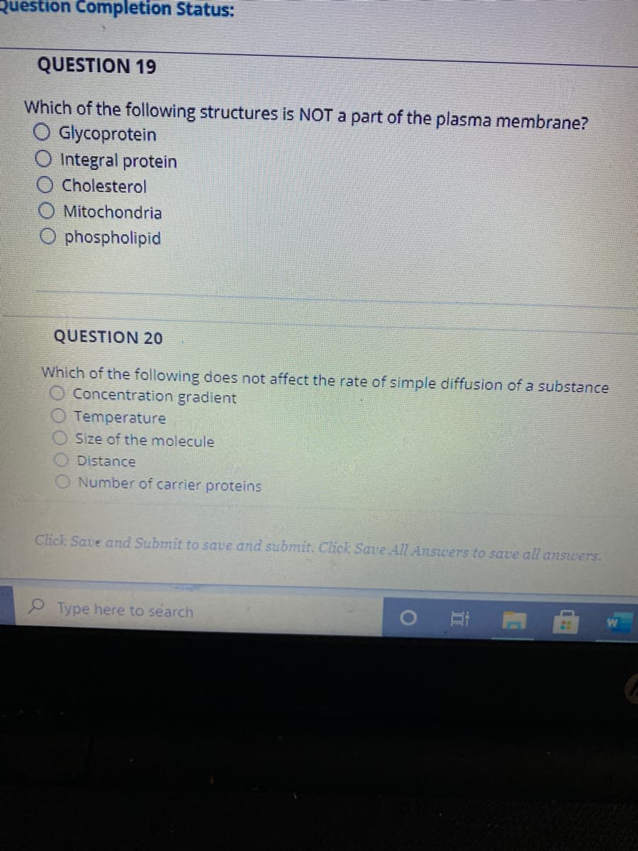 Question Completion Status:
QUESTION 19
Which of the following structures is NOT a part of the plasma membrane?
Glycoprotein
Integral protein
Cholesterol
Mitochondria
O phospholipid
QUESTION 20
Which of the following does not affect the rate of simple diffusion of a substance
Concentration gradient
Temperature
O Size of the molecule
O Distance
O Number of carrier proteins
Click Save and Submit to save and submit. Click Save All Answers to save all answers.
P Type here to search
