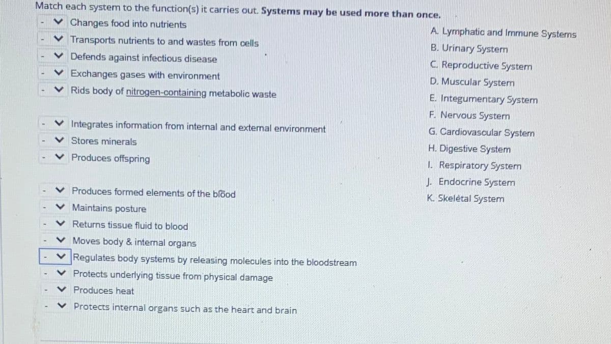 Match each system to the function(s) it carries out. Systems may be used more than once.
Changes food into nutrients
A. Lymphatic and Immune Systems
Transports nutrients to and wastes from cells
B. Urinary System
C. Reproductive System
D. Muscular System
Defends against infectious disease
Exchanges gases with environment
Rids body of nitrogen-containing metabolic waste
E. Integumentary System
F. Nervous System
Integrates information from internal and extermal environment
G. Cardiovascular System
V Stores minerals
H. Digestive System
1. Respiratory System
J. Endocrine System
Produces offspring
Produces formed elements of the blood
K. Skelėtal System
Maintains posture
Returns tissue fluid to blood
Moves body & internal organs
Regulates body systems by releasing molecules into the bloodstream
v Protects underlying tissue from physical damage
V Produces heat
Protects internal organs such as the heart and brain
> >
