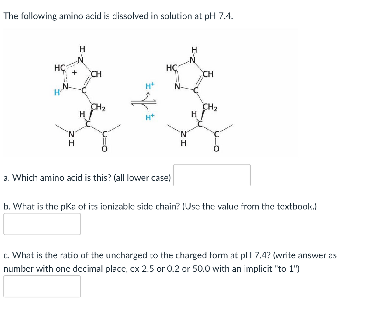 The following amino acid is dissolved in solution at pH 7.4.
HC
H'
+ CH
CH₂
H/
H+
HC
a. Which amino acid is this? (all lower case)
N-
H
CH
CH₂
b. What is the pKa of its ionizable side chain? (Use the value from the textbook.)
c. What is the ratio of the uncharged to the charged form at pH 7.4? (write answer as
number with one decimal place, ex 2.5 or 0.2 or 50.0 with an implicit "to 1")