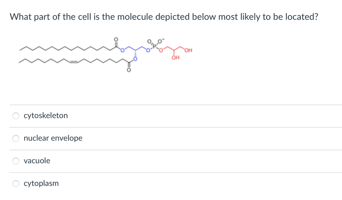 What part of the cell is the molecule depicted below most likely to be located?
cytoskeleton
nuclear envelope
vacuole
cytoplasm
OH