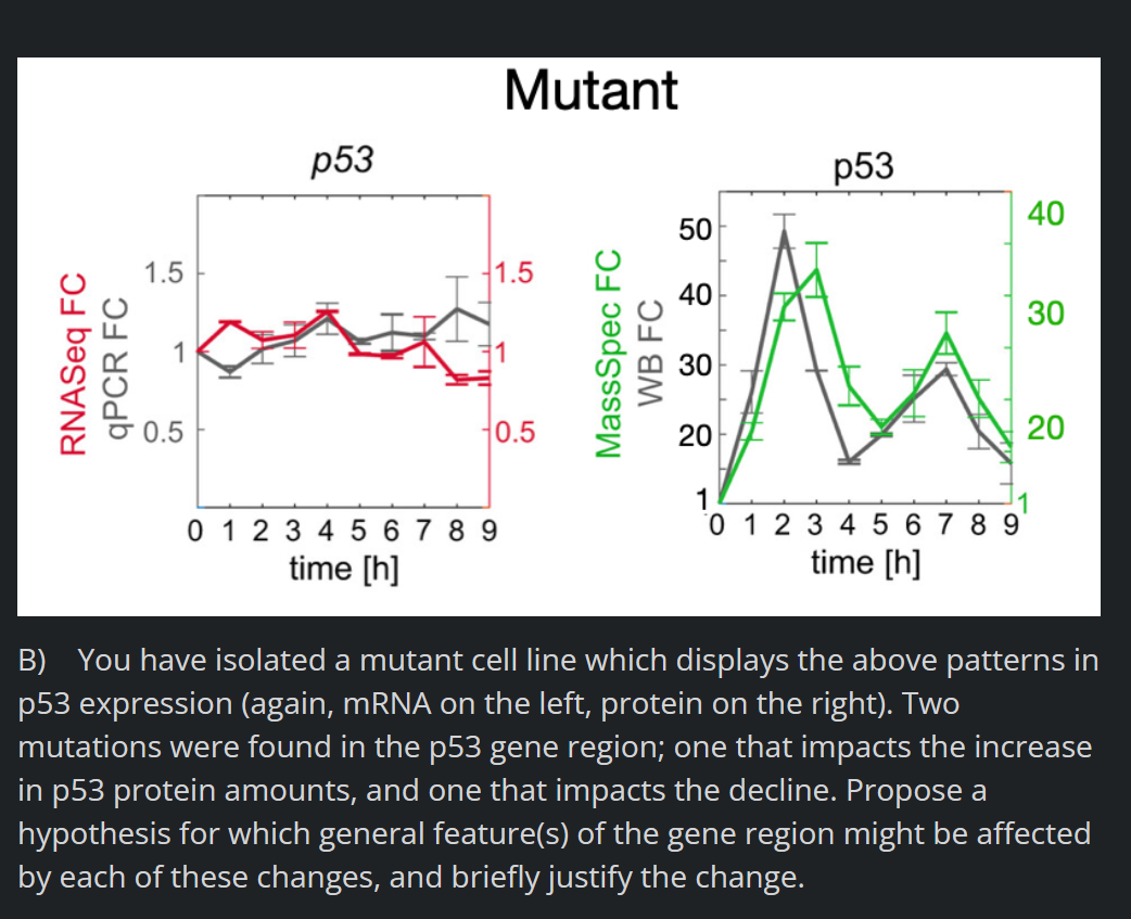 RNASeq FC
1.5
1
0.5
p53
Mutant
1.5
1
0.5
0 1 2 3 4 5 6789
time [h]
p53
50
40
EM
30
20
1
0 1 2 3 4 56789
time [h]
40
30
20
B) You have isolated a mutant cell line which displays the above patterns in
p53 expression (again, mRNA on the left, protein on the right). Two
mutations were found in the p53 gene region; one that impacts the increase
in p53 protein amounts, and one that impacts the decline. Propose a
hypothesis for which general feature(s) of the gene region might be affected
by each of these changes, and briefly justify the change.