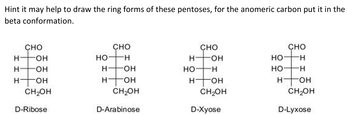 Hint it may help to draw the ring forms of these pentoses, for the anomeric carbon put it in the
beta conformation.
CHO
CHO
CHO
CHO
H OH
HO
H
H-
-OH
HO
H
H
OH
H
-OH
HO
H
HO
H
H
OH
H
-OH
H
-OH
H
OH
CH₂OH
CH₂OH
CH₂OH
CH₂OH
D-Ribose
D-Arabinose
D-Xyose
D-Lyxose