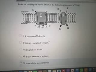 Based on the diagram below, which of the following statements is TRUE
D
E
ATP
с
1) Frequires ATP directly
2) B is an example of symport
3) B is gradient driven
4) B is an example of antiport
5) None of the above are true
3
⁹999
H
S