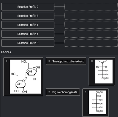 Reaction Profile 2
Reaction Profile 3
Reaction Profile 1
Reaction Profile 4
Reaction Profile 5
Choices:
HO
! Sweet potato tuber extract
H.
OOH
он
HO
H-
H-
-OH
но.
H-
OH
OH
CH,OH
OH
ÓH ÓH
H
# Pig liver homogenate
CH,OH
H-
-O-
H-
-OH
H-
OH
CH,OH
