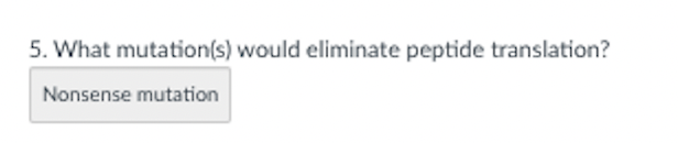 5. What mutation(s) would eliminate peptide translation?
Nonsense mutation
