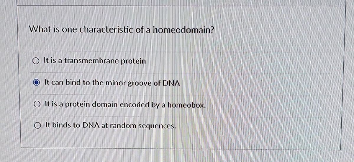 What is one characteristic of a homeodomain?
It is a transmembrane protein
It can bind to the minor groove of DNA
It is a protein domain encoded by a homeobox.
It binds to DNA at random sequences.