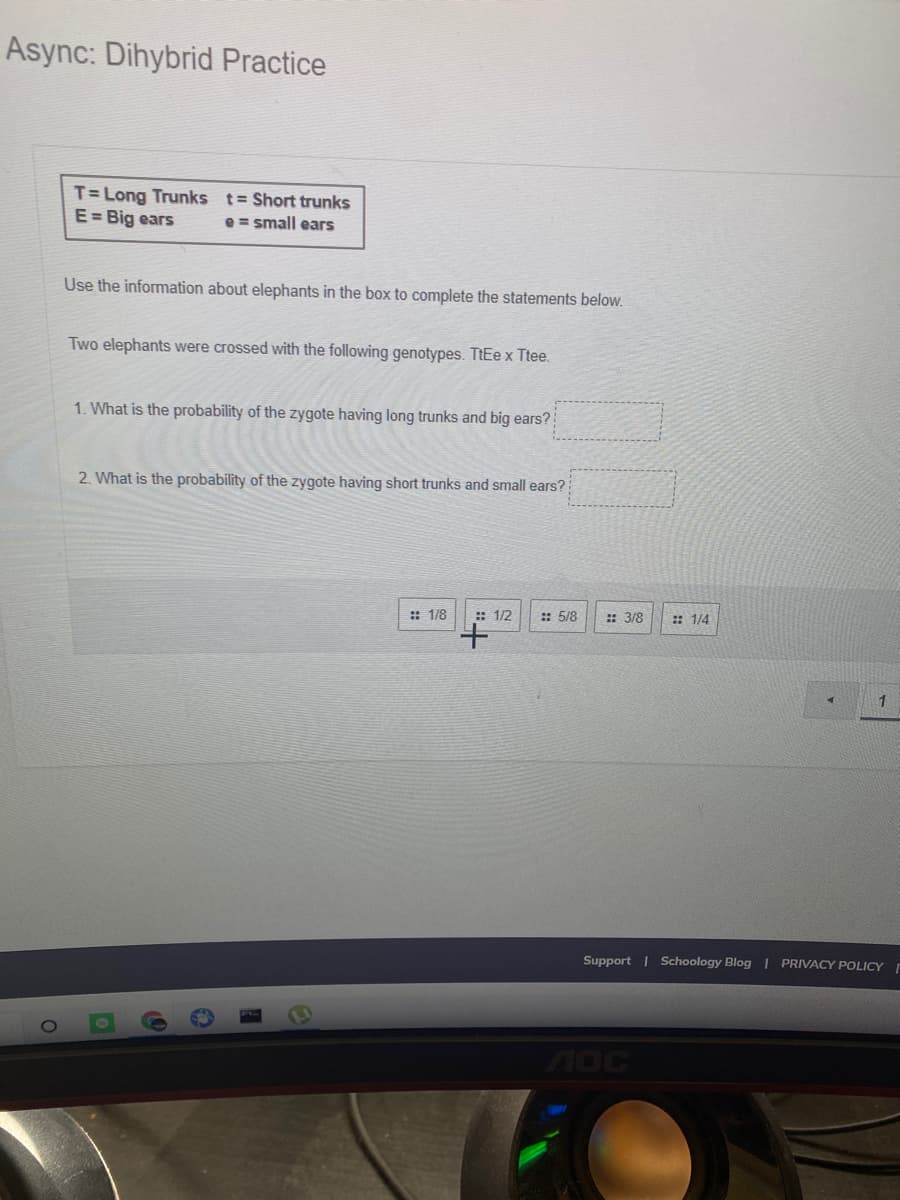 Async: Dihybrid Practice
T= Long Trunks t= Short trunks
E = Big ears
e = small ears
Use the information about elephants in the box to complete the statements below.
Two elephants were crossed with the following genotypes. TtEe x Ttee.
1. What is the probability of the zygote having long trunks and big ears?
2. What is the probability of the zygote having short trunks and small ears?
:: 1/8
:: 1/2
:: 5/8
: 3/8
:: 1/4
1
Support | Schoology Blog | PRIVACY POLICY I
4OC
