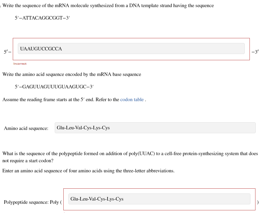 Write the sequence of the mRNA molecule synthesized from a DNA template strand having the sequence
5'-ATTACAGGCGGT-3'
5'-
UAAUGUCCGCCA
Incorrect
Write the amino acid sequence encoded by the mRNA base sequence
5'-GAGUUAGUUUGUAAGUGC-3'
Assume the reading frame starts at the 5' end. Refer to the codon table .
Amino acid sequence:
Glu-Leu-Val-Cys-Lys-Cys
What is the sequence of the polypeptide formed on addition of poly(UUAC) to a cell-free protein-synthesizing system that does
not require a start codon?
Enter an amino acid sequence of four amino acids using the three-letter abbreviations.
Polypeptide sequence: Poly(
-3'
Glu-Leu-Val-Cys-Lys-Cys