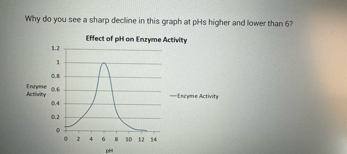 Why do you see a sharp decline in this graph at pHs higher and lower than 6?
Effect of pH on Enzyme Activity
1.2
1
0.8
Enzyme 0.6
Activity
0.4
0.2
0+
0 2
4
6
pH
8
10 12 14
-Enzyme Activity
