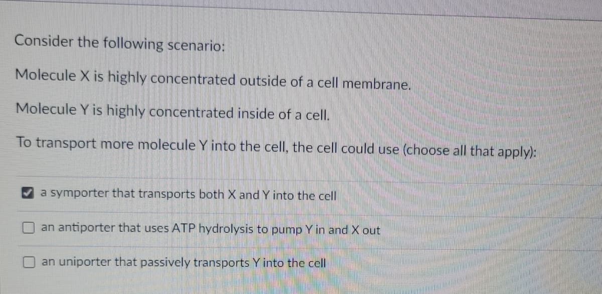 Consider the following scenario:
Molecule X is highly concentrated outside of a cell membrane.
Molecule Y is highly concentrated inside of a cell.
To transport more molecule Y into the cell, the cell could use (choose all that apply):
a symporter that transports both and Y into the cell
an antiporter that uses ATP hydrolysis to pump Y in and X out
an uniporter that passively transports Y into the cell