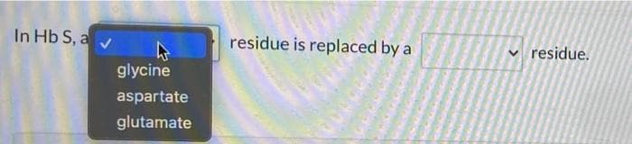 In Hb S, a v
residue is replaced by a
residue.
glycine
aspartate
glutamate
>
