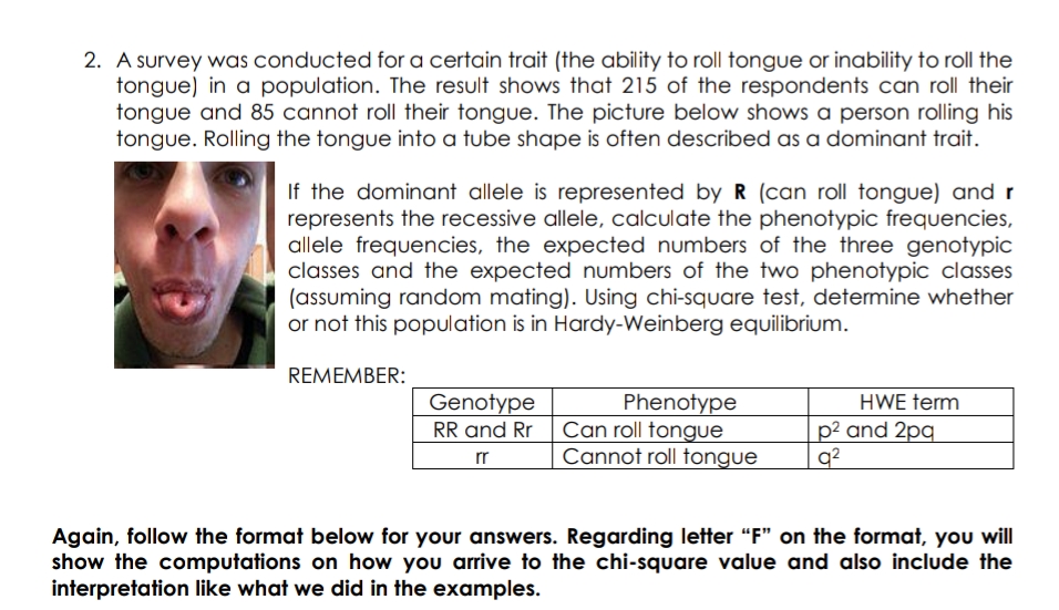 2. A survey was conducted for a certain trait (the ability to roll tongue or inability to roll the
tongue) in a population. The result shows that 215 of the respondents can roll their
tongue and 85 cannot roll their tongue. The picture below shows a person rolling his
tongue. Rolling the tongue into a tube shape is often described as a dominant trait.
If the dominant allele is represented by R (can roll tongue) and r
represents the recessive allele, calculate the phenotypic frequencies,
allele frequencies, the expected numbers of the three genotypic
classes and the expected numbers of the two phenotypic classes
(assuming random mating). Using chi-square test, determine whether
or not this population is in Hardy-Weinberg equilibrium.
REMEMBER:
Phenotype
RR and Rr Can roll tongue
Cannot roll tongue
Genotype
HWE term
p2 and 2pq
q?
rr
Again, follow the format below for your answers. Regarding letter "F" on the format, you will
show the computations on how you arrive to the chi-square value and also include the
interpretation like what we did in the examples.
