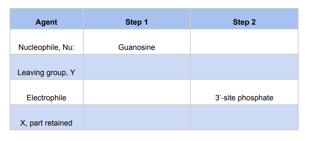 Agent
Step 1
Step 2
Nucleophile, Nu:
Guanosine
Leaving group, Y
Electrophile
✗, part retained
3'-site phosphate