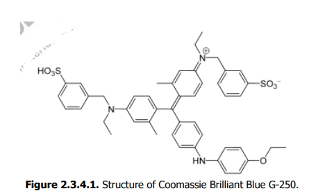 GI I
HO;S
-SO
HN-
Figure 2.3.4.1. Structure of Coomassie Brilliant Blue G-250.
