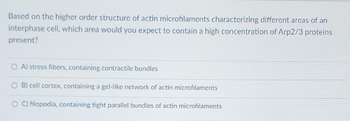 Based on the higher order structure of actin microfilaments characterizing different areas of an
interphase cell, which area would you expect to contain a high concentration of Arp2/3 proteins
present?
A) stress fibers, containing contractile bundles
B) cell cortex, containing a gel-like network of actin microfilaments
C) filopodia, containing tight parallel bundles of actin microfilaments