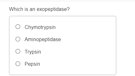 Which is an exopeptidase?
O Chymotrypsin
O Aminopeptidase
O Trypsin
O Pepsin