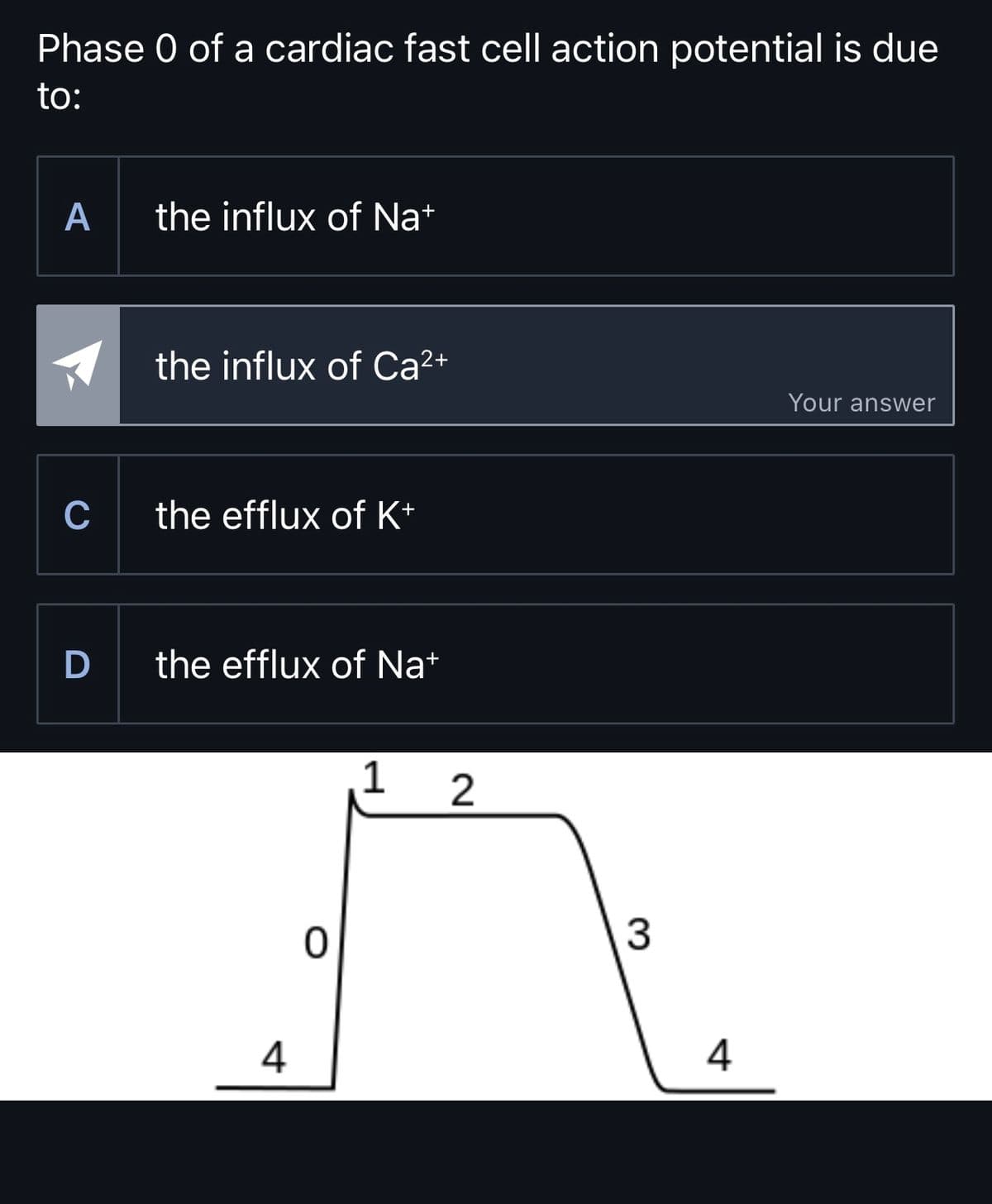 Phase 0 of a cardiac fast cell action potential is due
to:
A the influx of Na+
the influx of Ca2+
Your answer
C
the efflux of K+
D the efflux of Na+
4
0
1
2
3
4