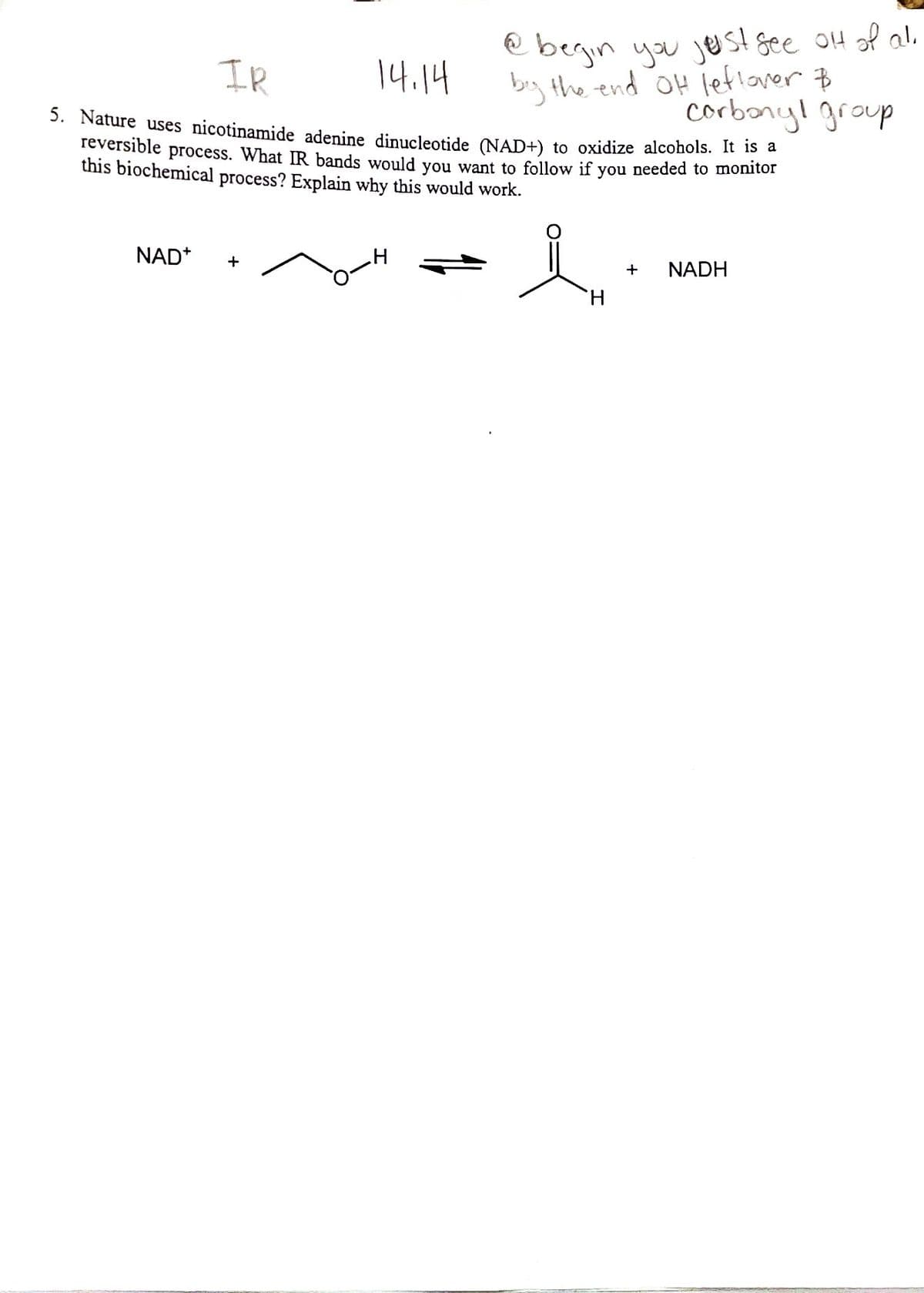 e begin you jest gee OH of al.
big the end OH leflaver B
corbony! group
IR
14.14
3. Nature uses nicotinamide adenine dinucleotide NAD+) to oxidize alcohols. It is a
Teversible process. What IR bands would vou want to follow if you needed to monitor
this biochemical process? Explain why this would work.
NAD*
+
NADH
H.
