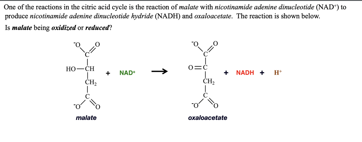 One of the reactions in the citric acid cycle is the reaction of malate with nicotinamide adenine dinucleotide (NAD+) to
produce nicotinamide adenine dinucleotide hydride (NADH) and oxaloacetate. The reaction is shown below.
Is malate being oxidized or reduced?
O=C
II
+ NAD+
CH₂
C
HOCH
CH₂
malate
o=0
+ NADH +
oxaloacetate
H+