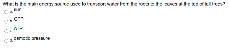 What is the main energy source used to transport water from the roots to the leaves at the top of tall trees?
sun
а.
GTP
O b.
АТР
O c.
osmotic pressure
d.
