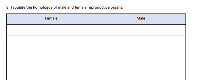 9. Tabulate the homologue of male and female reproductive organs:
Female
Male