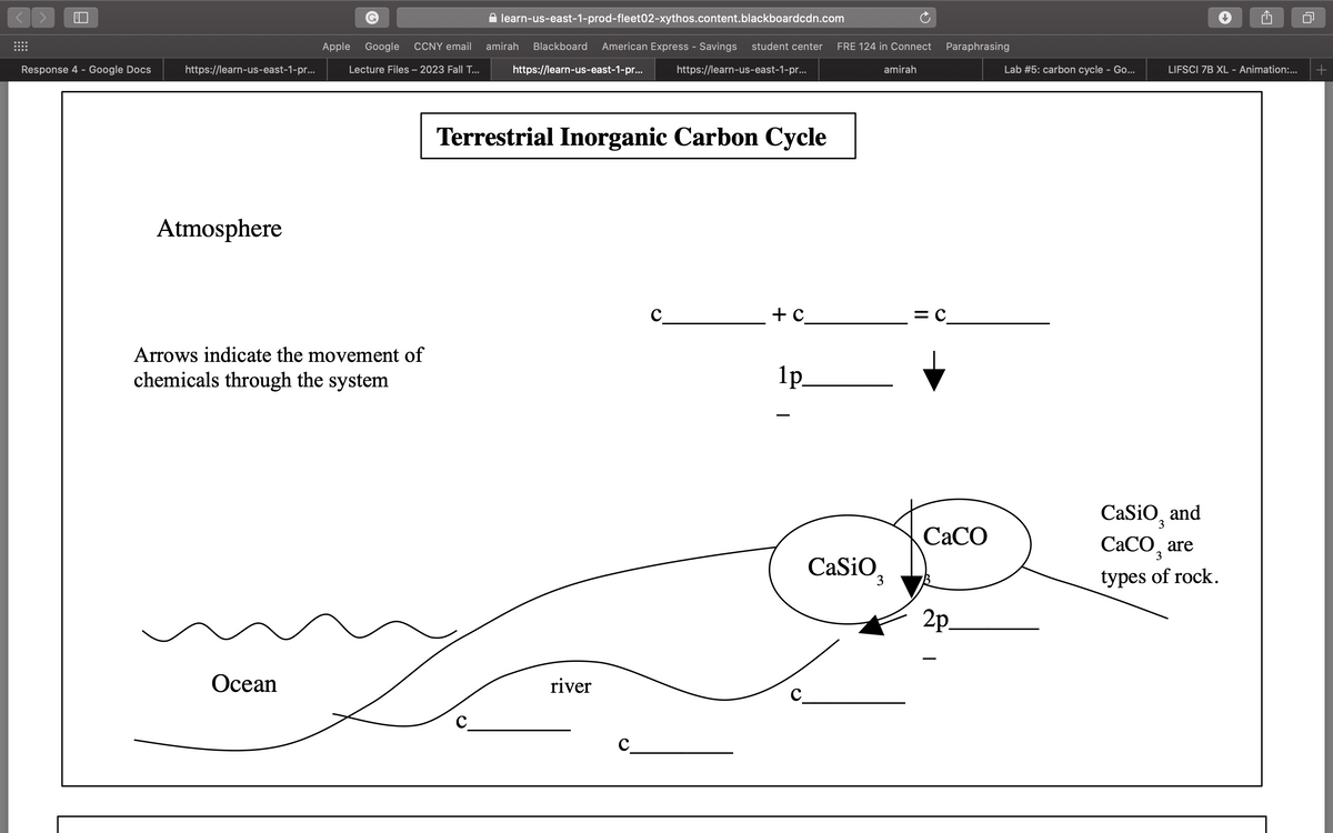 Response 4 - Google Docs
https://learn-us-east-1-pr...
Atmosphere
Apple Google CCNY email
Lecture Files - 2023 Fall T...
Arrows indicate the movement of
chemicals through the system
Ocean
✰ learn-us-east-1-prod-fleet02-xythos.content.blackboardcdn.com
amirah Blackboard American Express - Savings student center FRE 124 in Connect Paraphrasing
с
https://learn-us-east-1-pr...
Terrestrial Inorganic Carbon Cycle
river
с
https://learn-us-east-1-pr...
с
+C_
1p.
amirah
CaSiO3
с
CaCO
2p.
Lab #5: carbon cycle - Go...
LIFSCI 7B XL - Animation:...
Casio, and
CaCO₂ are
types of rock.
+