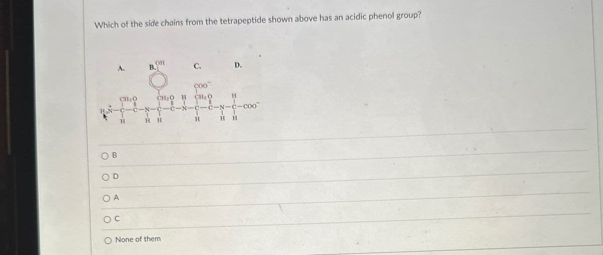 Which of the side chains from the tetrapeptide shown above has an acidic phenol group?
A.
OH
B.
C.
D.
COO
CH3O
H
CH2O
CH2O
H
H3N-C-C-N-C-C-N-C-C-N-C-COO
B
H
H H
OA
Oc
O None of them
H
HH