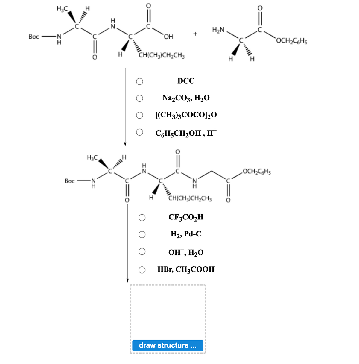 Boc
H3C
Boc
つい
H₂C
·N
ZI
C
H
OH
CH(CH3)CH₂CH3
H
+
DCC
Na₂CO3, H₂O
[(CH3)3COCO]20
C6H5CH₂OH, H†
CH(CH3)CH₂CH3
H₂N
CF3CO₂H
H₂, Pd-C
OH, H2O
HBr, CH3COOH
draw structure ...
H
||||
OCH₂C6H5
OCH₂C6H5