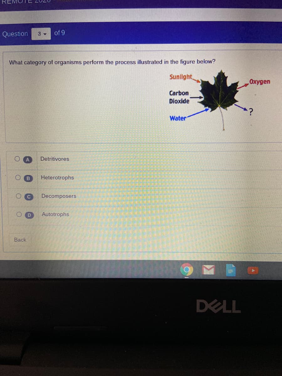 Question
of 9
3 -
What category of organisms perform the process illustrated in the figure below?
Sunlight,
Oxygen
Carbon
Dioxide
Water
Detritivores
Heterotrophs
Decomposers
Autotrophs
Back
DELL
