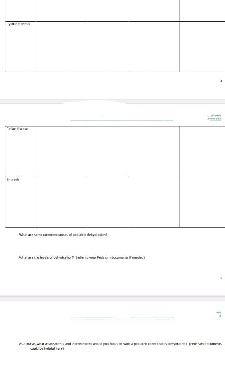 Pyloric stenosis
Celiac disease
Enuresis
What are some common causes of pediatric dehydration?
What are the levels of dehydration? (refer to your Peds sim documents if needed)
tmn.edu
innesota State
5
As a nurse, what assessments and interventions would you focus on with a pediatric client that is dehydrated? (Peds sim documents
could be helpful here)