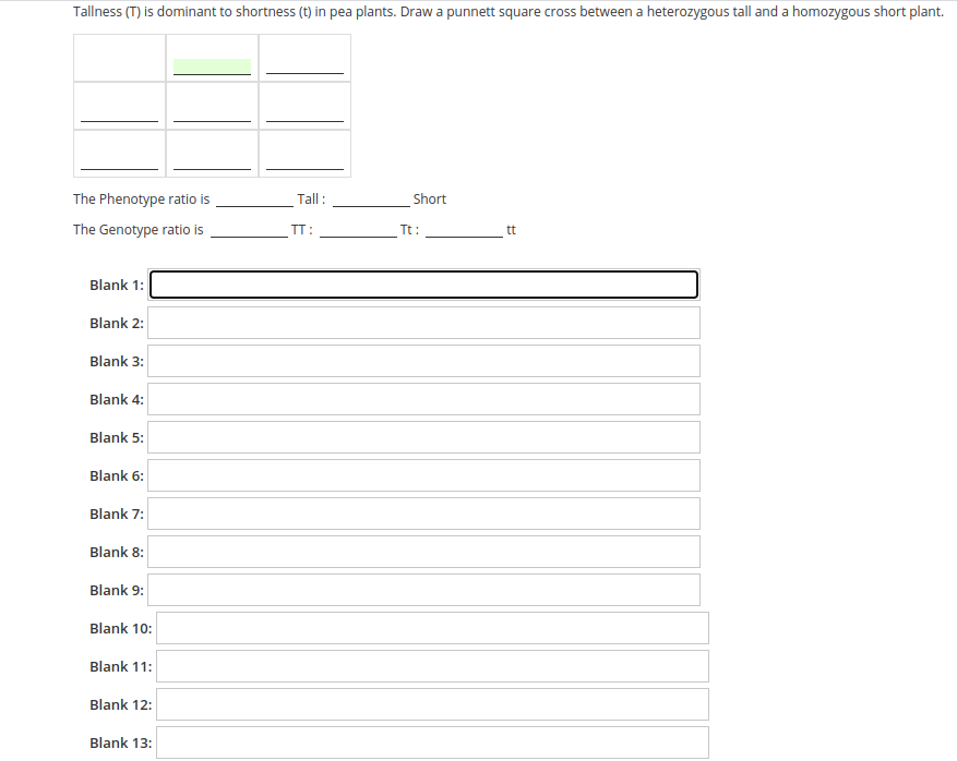 Tallness (T) is dominant to shortness (t) in pea plants. Draw a punnett square cross between a heterozygous tall and a homozygous short plant.
The Phenotype ratio is
Tall:
Short
The Genotype ratio is
TT:
Tt:
tt
Blank 1:
Blank 2:
Blank 3:
Blank 4:
Blank 5:
Blank 6:
Blank 7:
Blank 8:
Blank 9:
Blank 10:
Blank 11:
Blank 12:
Blank 13:
