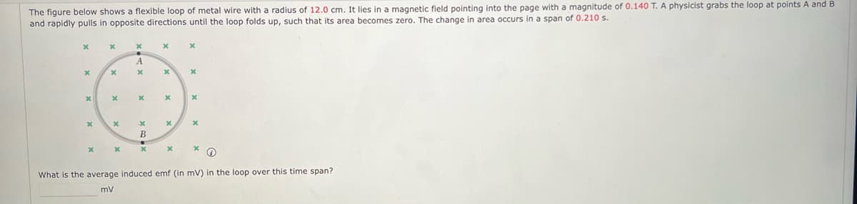 The figure below shows a flexible loop of metal wire with a radius of 12.0 cm. It lies in a magnetic field pointing into the page with a magnitude of 0.140 T. A physicist grabs the loop at points A and B
and rapidly pulls in opposite directions until the loop folds up, such that its area becomes zero. The change in area occurs in a span of 0.210 s.
x
A
x
x
x
x
x
*
x
x
x
x
x
x
.x
x
x
B
x
x
What is the average induced emf (in mV) in the loop over this time span?
mV