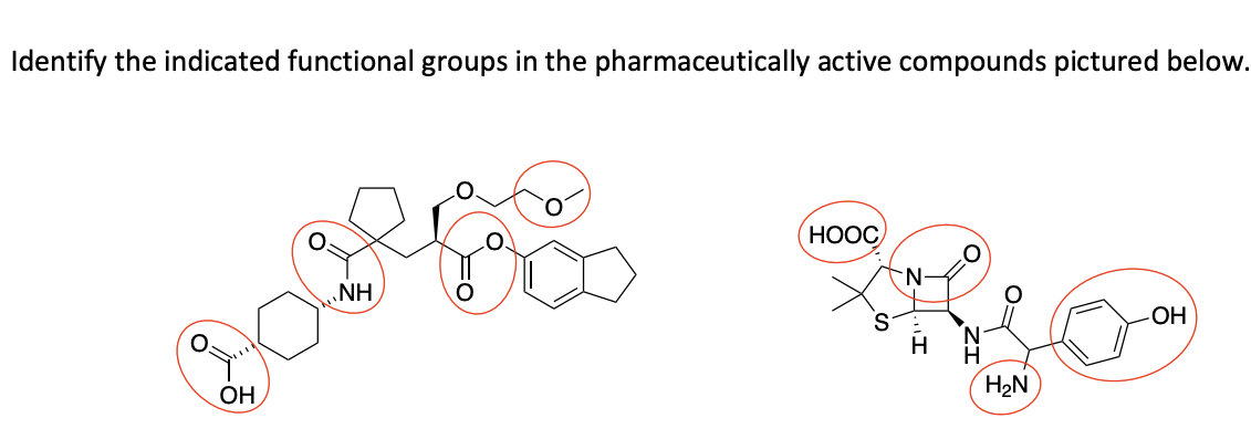 Identify the indicated functional groups in the pharmaceutically active compounds pictured below.
OH
NH
HOOC
H₂N
-OH