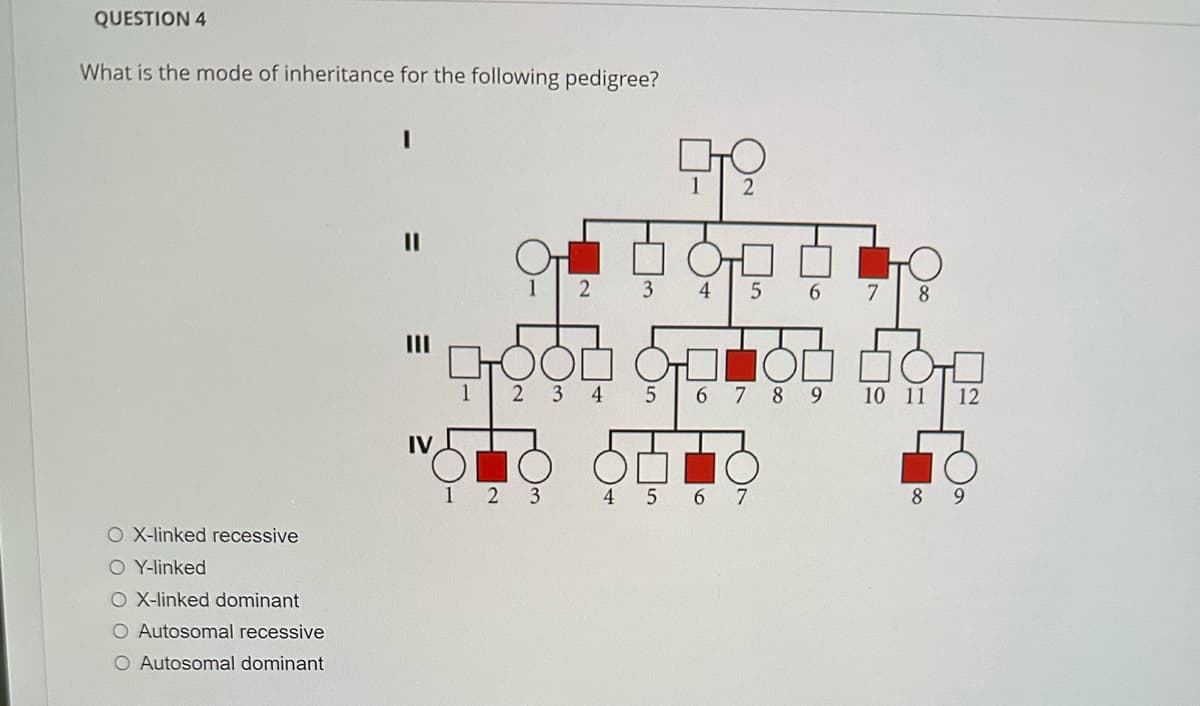 QUESTION 4
What is the mode of inheritance for the following pedigree?
OX-linked recessive
O Y-linked
O X-linked dominant
O Autosomal recessive
O Autosomal dominant
11
IV
DOOD
1 2 3 4
OI
2
1 2 3
3
5
сто
1
2
4
5 6
6 7 8 9
4 5 6 7
7
8
DO
10 11 12
8 9