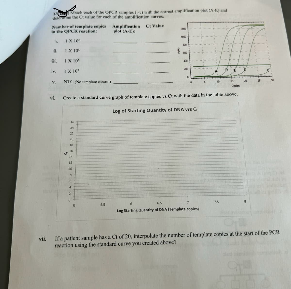 13 Match each of the QPCR samples (i-v) with the correct amplification plot (A-E) and
determine the Ct value for each of the amplification curves.
Number of template copies
in the QPCR reaction:
Amplification
plot (A-E):
Ct Value
1200
1000
i.
1X 106
ii. 1X 105
iii. 1X 108
iv. 1X 107
V.
NTC (No template control)
800
600
400
200
A
C
0
5
10
15
20
25
30
Cycles
vi. Create a standard curve graph of template copies vs Ct with the data in the table above.
Log of Starting Quantity of DNA vrs C+
vii.
26
24
22221
20
18
16
14
12
כי
10
8
6
4
2
0
5
5.5
6
6.5
7
7.5
8
Log Starting Quantity of DNA (Template copies)
If a patient sample has a Ct of 20, interpolate the number of template copies at the start of the PCR
reaction using the standard curve you created above?