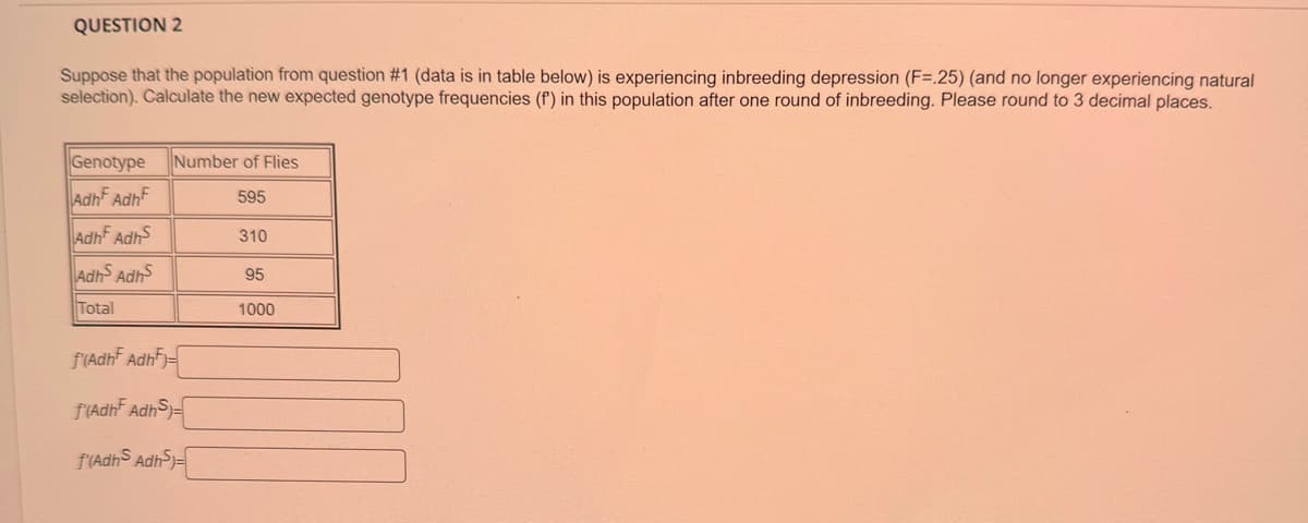 QUESTION 2
Suppose that the population from question #1 (data is in table below) is experiencing inbreeding depression (F=.25) (and no longer experiencing natural
selection). Calculate the new expected genotype frequencies (f) in this population after one round of inbreeding. Please round to 3 decimal places.
Genotype Number of Flies
Adh Adh
595
Adh AdhS
Adh Adh
Total
f'(Adh Adh-
f'(Adh AdhS)
f'(Adhs AdhS)-
310
95
1000