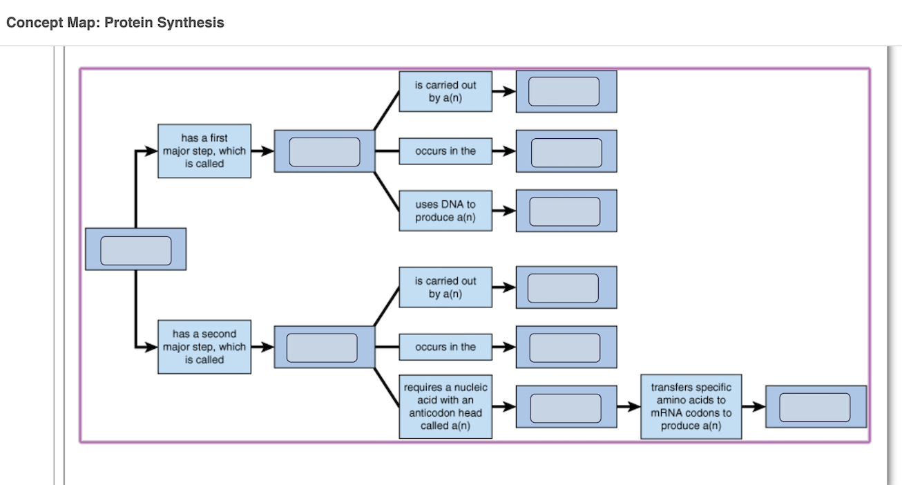 Concept Map: Protein Synthesis
is carried out
by a(n)
has a first
major step, which
is called
occurs in the
uses DNA to
produce a(n)
is carried out
by a(n)
has a second
major step, which
is called
OCcurs in the
transfers specific
amino acids to
mRNA codons to
requires a nucleic
acid with an
anticodon head
called a(n)
produce a(n)
