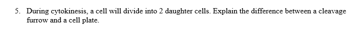 5. During cytokinesis, a cell will divide into 2 daughter cells. Explain the difference between a cleavage
furrow and a cell plate.
