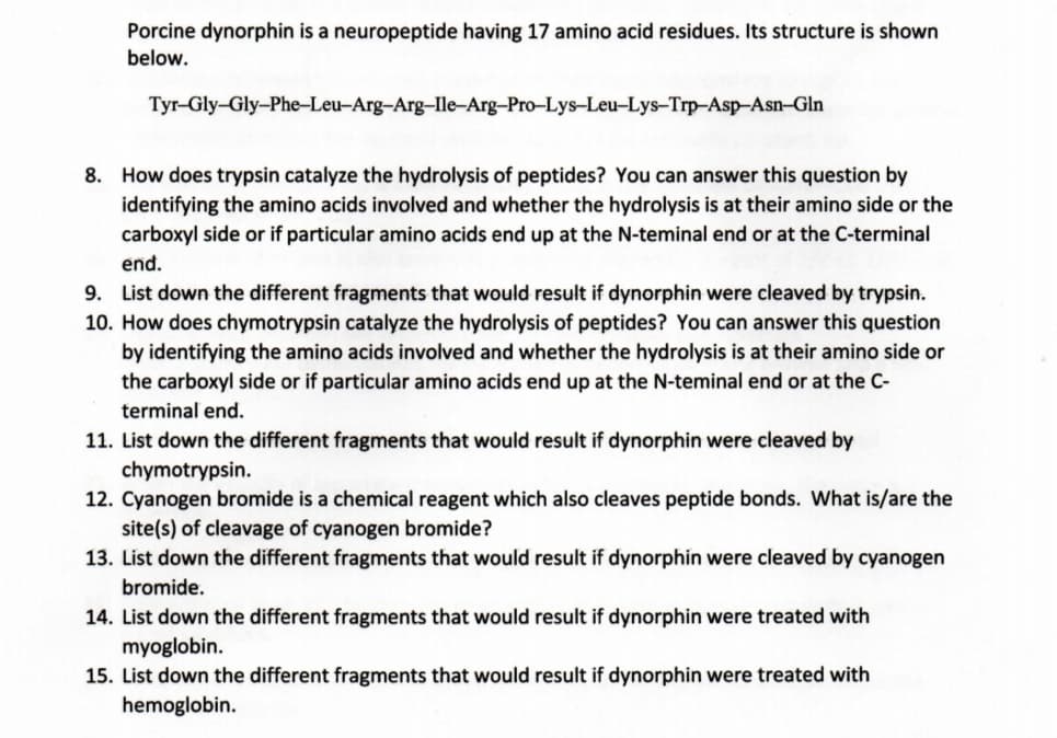 Porcine dynorphin is a neuropeptide having 17 amino acid residues. Its structure is shown
below.
Tyr-Gly-Gly-Phe-Leu-Arg-Arg-Ile-Arg-Pro-Lys-Leu-Lys-Trp-Asp-Asn-Gln
8. How does trypsin catalyze the hydrolysis of peptides? You can answer this question by
identifying the amino acids involved and whether the hydrolysis is at their amino side or the
carboxyl side or if particular amino acids end up at the N-teminal end or at the C-terminal
end.
9. List down the different fragments that would result if dynorphin were cleaved by trypsin.
10. How does chymotrypsin catalyze the hydrolysis of peptides? You can answer this question
by identifying the amino acids involved and whether the hydrolysis is at their amino side or
the carboxyl side or if particular amino acids end up at the N-teminal end or at the C-
terminal end.
11. List down the different fragments that would result if dynorphin were cleaved by
chymotrypsin.
12. Cyanogen bromide is a chemical reagent which also cleaves peptide bonds. What is/are the
site(s) of cleavage of cyanogen bromide?
13. List down the different fragments that would result if dynorphin were cleaved by cyanogen
bromide.
14. List down the different fragments that would result if dynorphin were treated with
myoglobin.
15. List down the different fragments that would result if dynorphin were treated with
hemoglobin.
