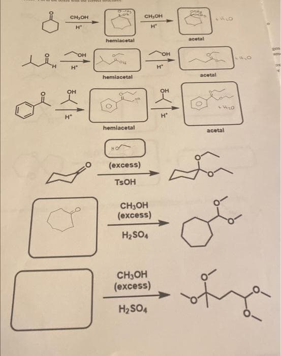 ME CHIACE with the correct sinc
8
CH₂OH
H+
OH
H*
마스
Cy
hemiacetal
hemiacetal
hemiacetal
HO
(excess)
TSOH
CHJOH
H'
CH3OH
(excess)
H2SO4
CH3OH
(excess)
H2SO4
OH
H*
OH
pty
acetal
acetal
HO
acetal
어
오
0