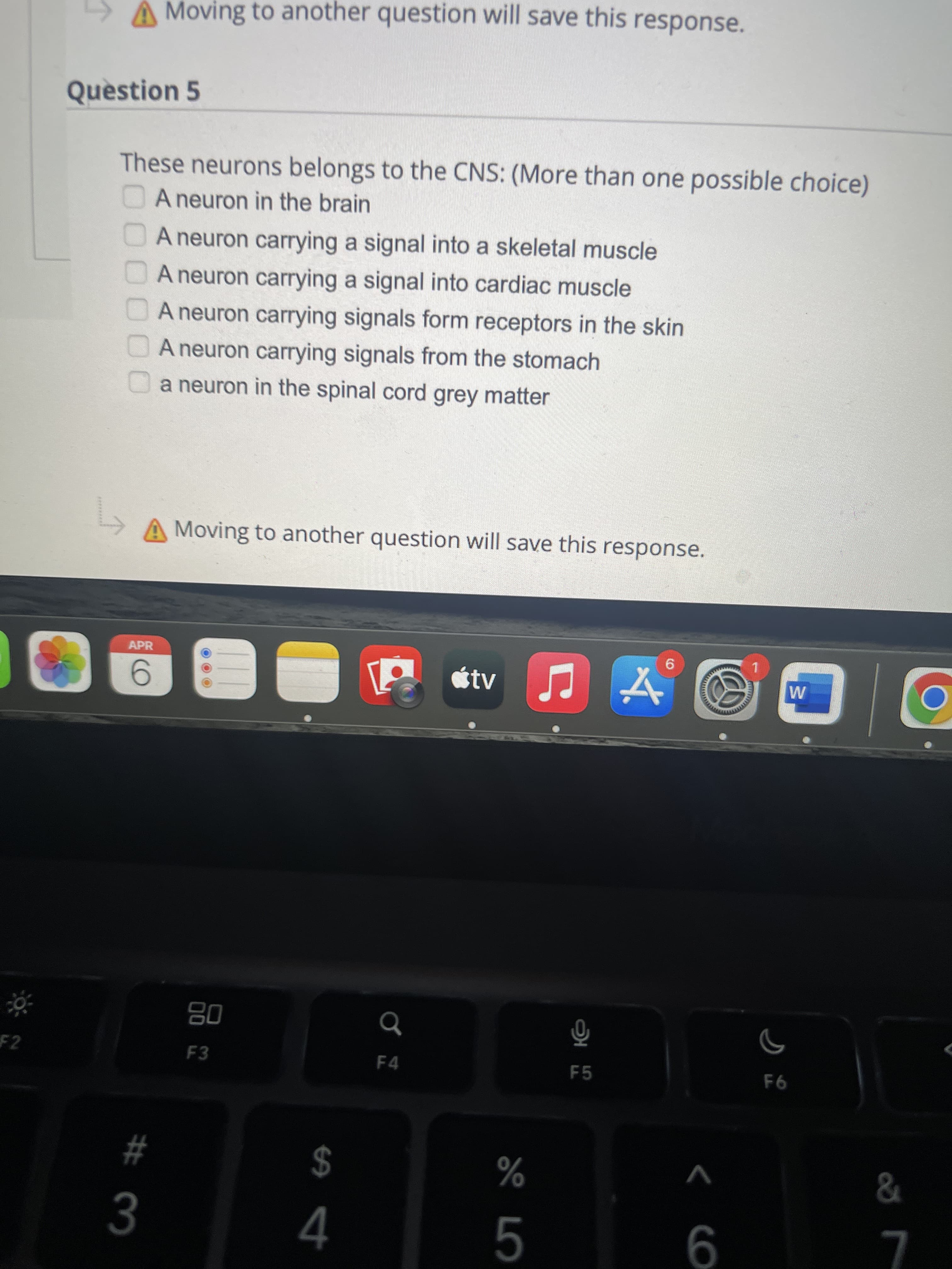 # 3
0000O
LS À Moving to another question will save this response.
Question 5
These neurons belongs to the CNS: (More than one possible choice)
A neuron in the brain
UA neuron carrying a signal into a skeletal muscle
A neuron carrying a signal into cardiac muscle
A neuron carrying signals form receptors in the skin
A neuron carrying signals from the stomach
a neuron in the spinal cord grey matter
A Moving to another question will save this response.
APR
étv
9.
1.
08
F2
F4
F5
93
%24
%
