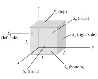 S2 (top)
S6 (back)
-S3 (right side)
(left side)
L
y
L
S4 (bottom)
S (front)
