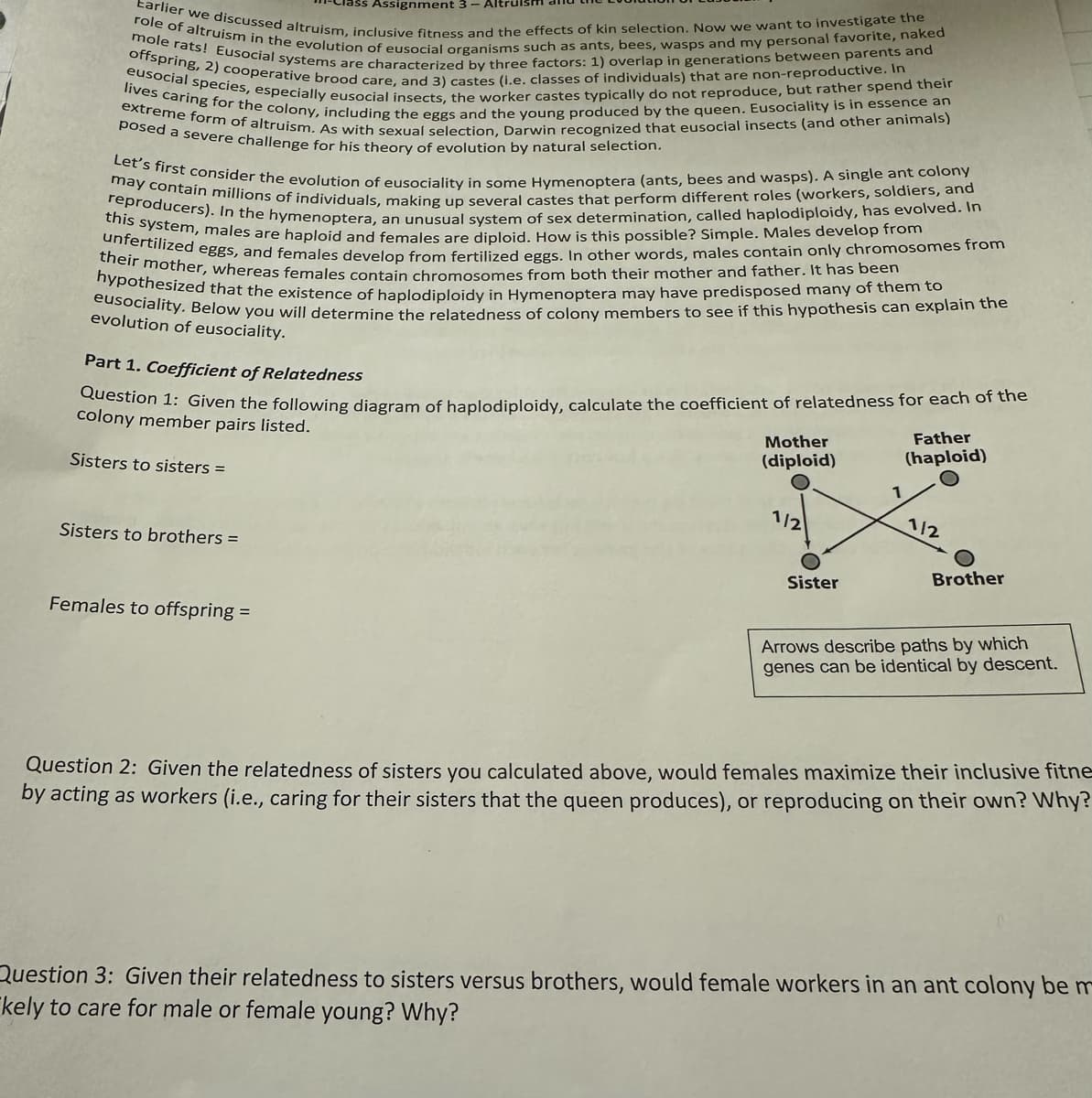 Assignment 3-
role of altruism in the evolution of eusocial organisms such as ants, bees, wasps and my personal favorite, naked
Earlier we discussed altruism, inclusive fitness and the effects of kin selection. Now we want to investigate the
offspring, 2) cooperative brood care, and 3) castes (i.e. classes of individuals) that are non-reproductive. In
mole rats! Eusocial systems are characterized by three factors: 1) overlap in generations between parents and
eusocial species, especially eusocial insects, the worker castes typically do not reproduce, but rather spend their
extreme form of altruism. As with sexual selection, Darwin recognized that eusocial insects (and other animals)
lives caring for the colony, including the eggs and the young produced by the queen. Eusociality is in essence an
posed a severe challenge for his theory of evolution by natural selection.
Let's first consider the evolution of eusociality in some Hymenoptera (ants, bees and wasps). A single ant colony
may contain millions of individuals, making up several castes that perform different roles (workers, soldiers, and
this system, males are haploid and females are diploid. How is this possible? Simple. Males develop from
reproducers). In the hymenoptera, an unusual system of sex determination, called haplodiploidy, has evolved. In
unfertilized eggs, and females develop from fertilized eggs. In other words, males contain only chromosomes from
hypothesized that the existence of haplodiploidy in Hymenoptera may have predisposed many of them to
eusociality. the
evolution of eusociality.
Part 1. Coefficient of Relatedness
Question 1: Given the following diagram of haplodiploidy, calculate the coefficient of relatedness for each of the
colony member pairs listed.
Sisters to sisters =
Mother
(diploid)
1
Father
(haploid)
Sisters to brothers =
Females to offspring =
1/2
Sister
112
Brother
Arrows describe paths by which
genes can be identical by descent.
Question 2: Given the relatedness of sisters you calculated above, would females maximize their inclusive fitne
by acting as workers (i.e., caring for their sisters that the queen produces), or reproducing on their own? Why?
Question 3: Given their relatedness to sisters versus brothers, would female workers in an ant colony be m
kely to care for male or female young? Why?