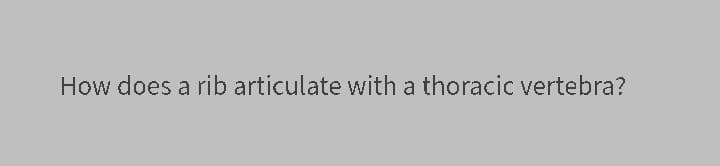 How does a rib articulate with a thoracic vertebra?
