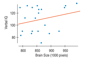120
100
80
800
850
900
950
Brain Size (1000 pixels)
Verbal IQ
