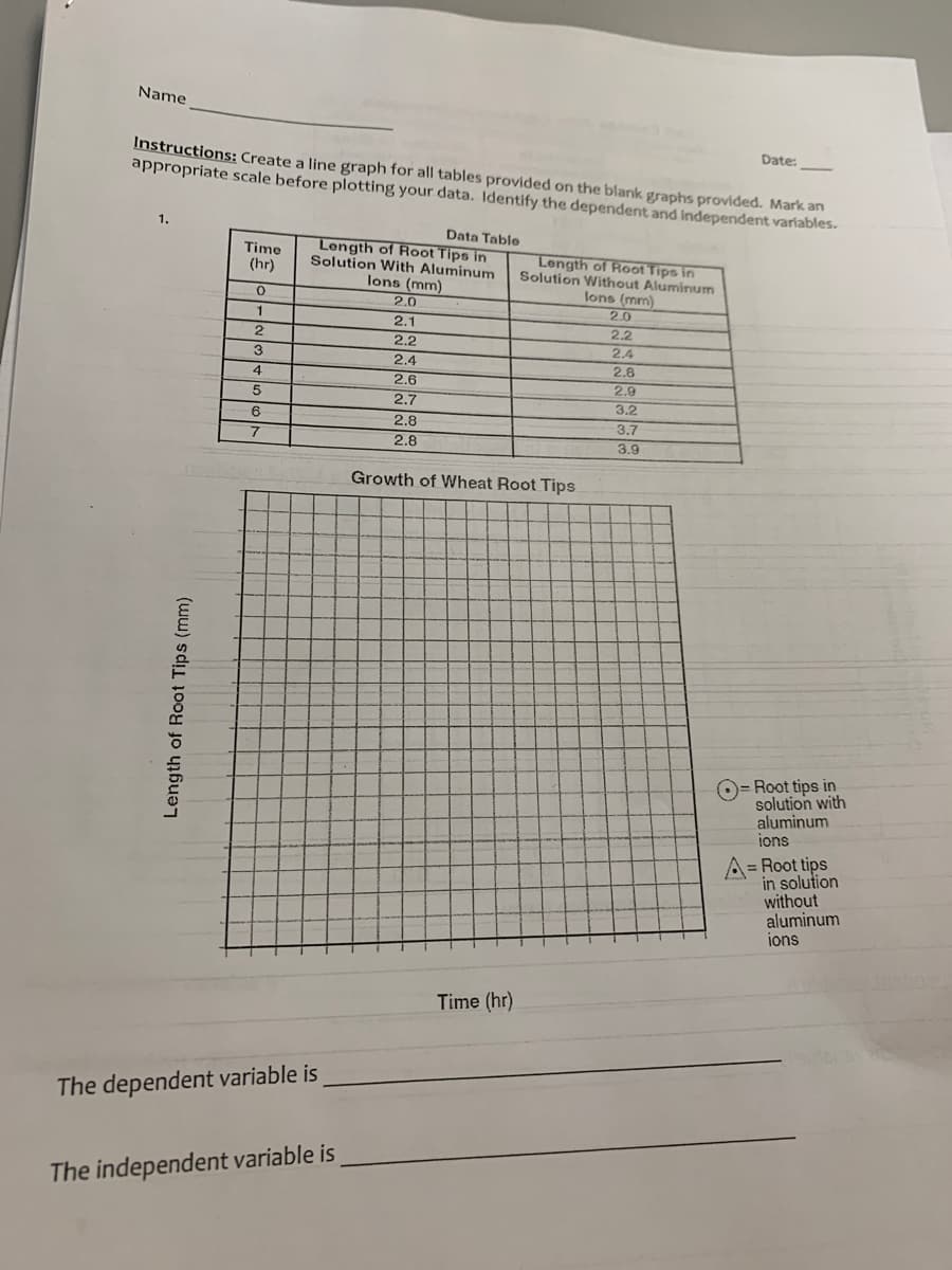 Name
Date:
Instructions: Create a line graph for all tables provided on the blank graphs provided. Mark an
appropriate scale before plotting your data. Identify the dependent and independent variables.
1.
Data Table
Length of Root Tips in
Solution With Aluminum
Time
Length of Root Tips in
Solution Without Aluminum
lons (mm)
2.0
2.2
2.4
2.8
2.9
3.2
3.7
3.9
(hr)
lons (mm)
2.0
2.1
2.2
2.4
1
3
4
2.6
2.7
6
2.8
2.8
Growth of Wheat Root Tips
O= Root tips in
solution with
aluminum
ions
A= Root tips
in solution
without
aluminum
ions
Time (hr)
The dependent variable is
The independent variable is
Length of Root Tips (mm)
