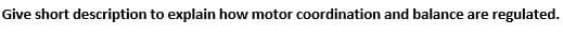 Give short description to explain how motor coordination and balance are regulated.
