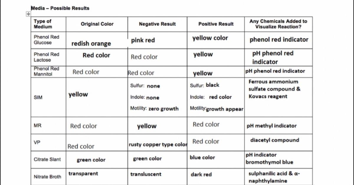 Media - Possible Results
Type of
Medium
Original Color
Negative Result
Any Chemicals Added to
Visualize Reaction?
Positive Result
Phenol Red
Glucose
pink red
yellow color
phenol red indicator
redish orange
yellow
pH phenol red
Phenol Red
Red color
Red color
Lactose
indicator
Phenol Red
Red color
Red color
yellow
pH phenol red indicator
Mannitol
Ferrous ammonium
Sulfur: none
Sulfur: black
sulfate compound &
Kovacs reagent
yellow
Indole: none
SIM
Indole: red color
Motility: zero growth
Motility'growth appear
MR
Red color
yellow
Red color
pH methyl indicator
VP
Red color
diacetyl compound
Red color
rusty copper type color
pH indicator
bromothymol blue
Citrate Slant
green color
blue color
green color
sulphanilic acid & a-
naphthylamine
transparent
transluscent
dark red
Nitrate Broth
