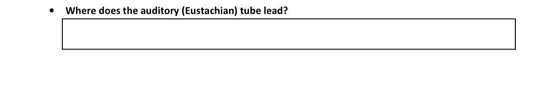 Where does the auditory (Eustachian) tube lead?
