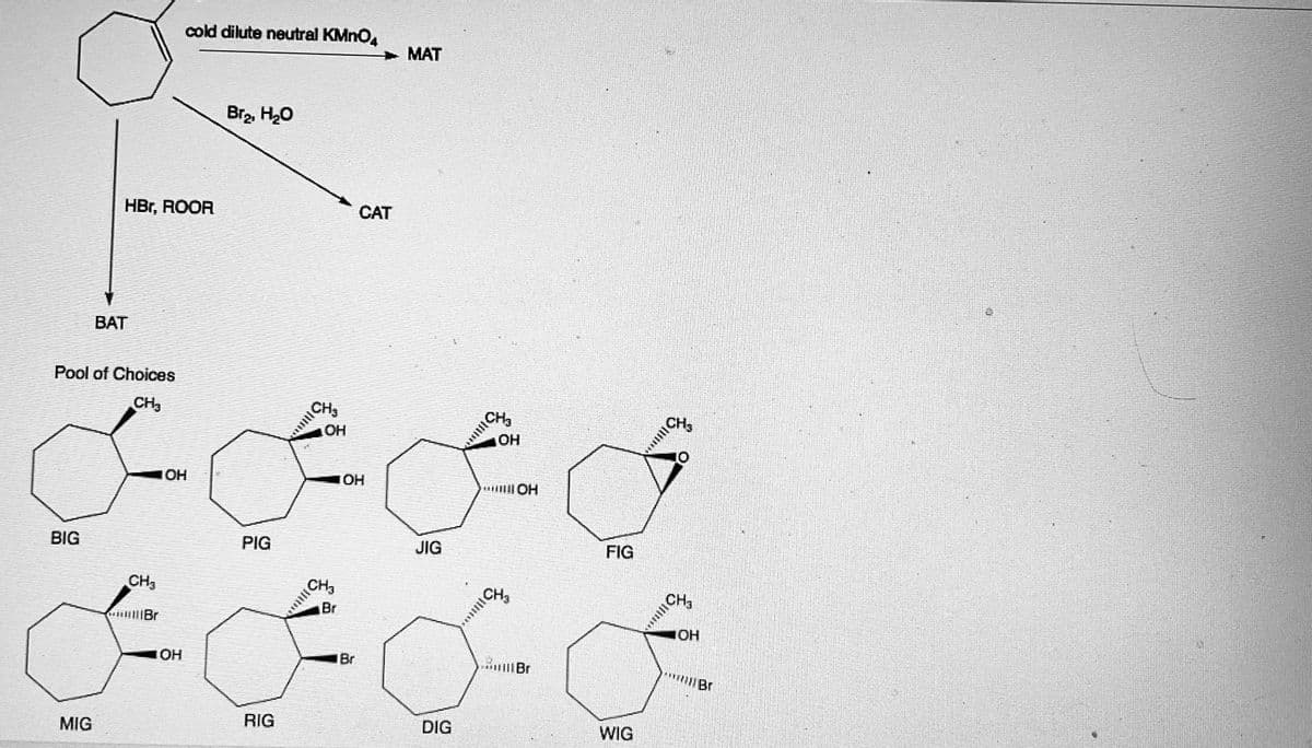 BIG
Pool of Choices
CH3
MIG
HBr, ROOR
BAT
CH₂
GolBr
IOH
cold dilute neutral KMnO4
OH
Br₂, H₂O
PIG
RIG
€
CH
OH
CH₂
Br
CAT
IOH
Br
MAT
JIG
DIG
CH₂
OH
30
OH
HillBr
FIG
WIG
17
10
CH₂
JOH
******Br